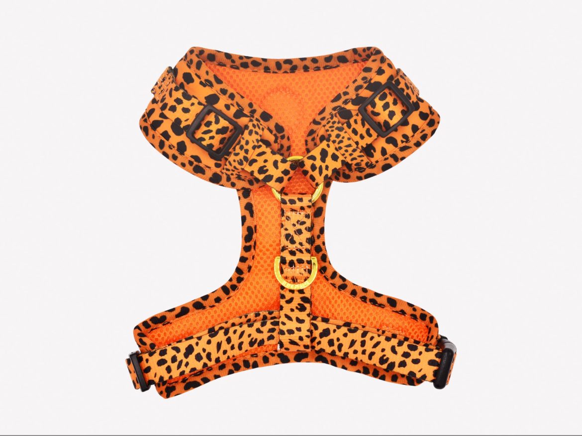 DUKIER ARNES AJUSTABLE CHEETAH GOLD - Imagen 2