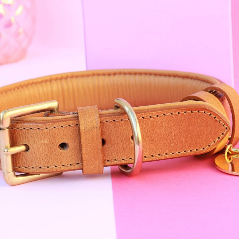 collar para perro de piel color camel 003 1920x1280 1