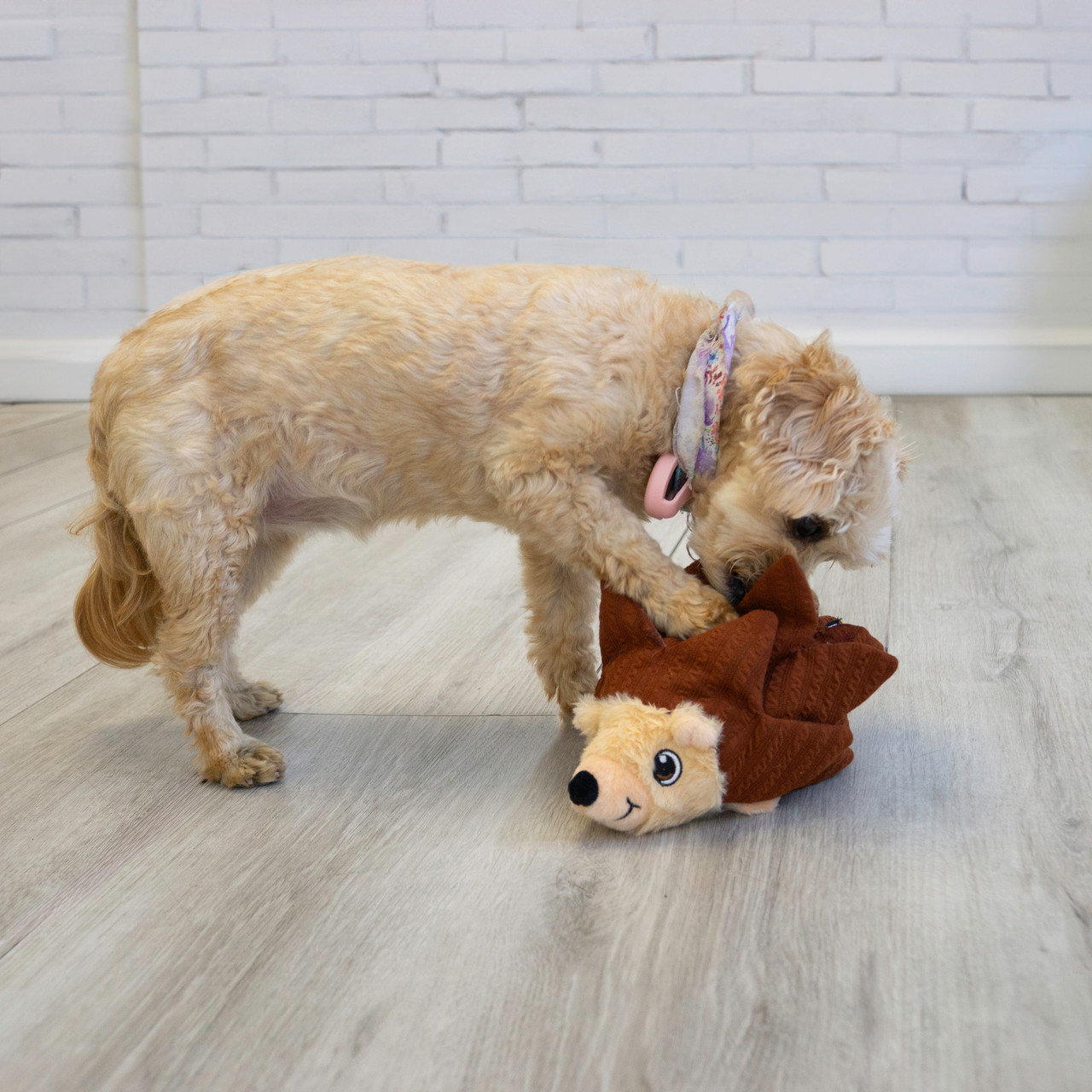 KONG Layerz Erizo talla M, juguete de olfato para perro