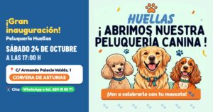 Gran inauguración de la Peluquería Canina y Felina Huellas en Corvera, sábado 24 de octubre a las 17:00 h
